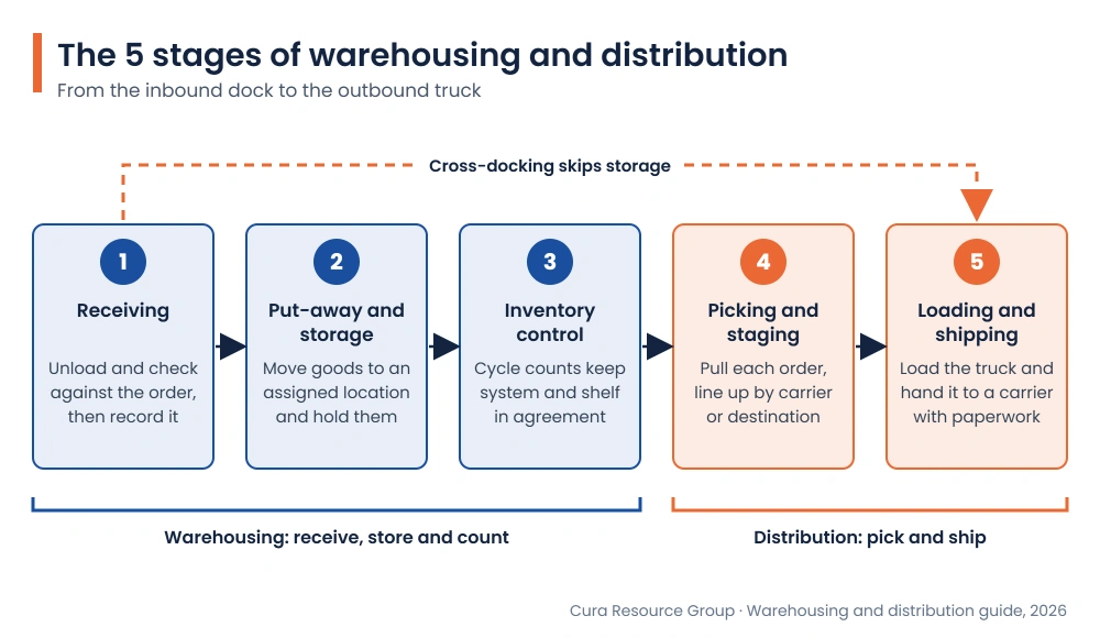Process flow of the five stages of warehousing and distribution: receiving, put-away and storage, inventory control, picking and staging, and loading and shipping. Stages one to three are warehousing and stages four and five are distribution. A dashed line shows cross-docking moving freight from receiving straight to shipping.